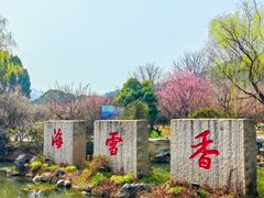 -香雪海