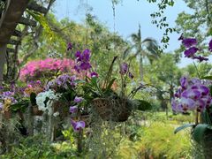 -中国科学院西双版纳热带植物园
