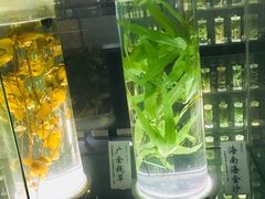 -广东中医药博物馆