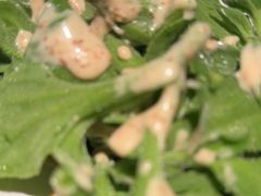 -江边城外烤全鱼(世茂广场店)