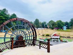 -铁山坪森林公园