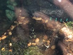-暹罗海洋世界