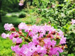 -国家植物园