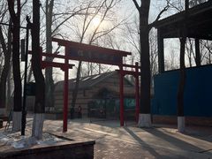 -北京野生动物园