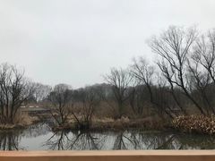 -西湖风景区-江洋畈生态公园