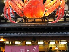 -蟹料理 北海道かに将軍(札幌本店)