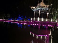 -金城公园