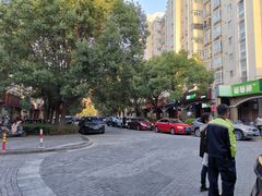 -上海春城-一期