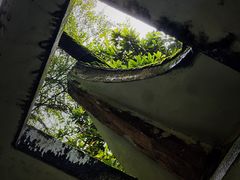 -广州兰圃