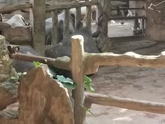 -长鹿旅游休博园