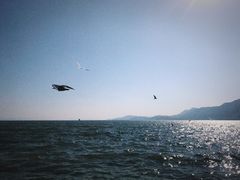 -海埂大坝
