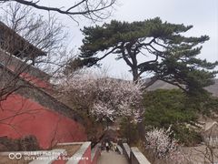 -妙峰山风景名胜区