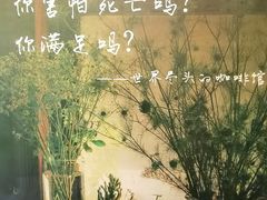 -出走咖啡·面包(宋庄店)