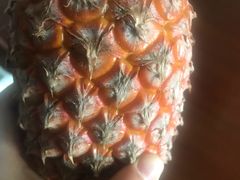 -上海龙吴水胜海发市场