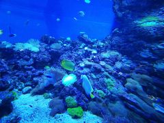 -成都浩海立方海洋公园