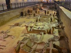 -洛阳周王城天子驾六博物馆