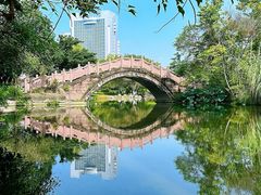 -桂湖森林公园
