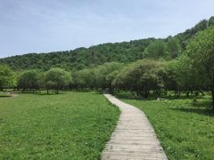 -大水川景区
