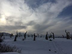 -丝绸之路山地度假区滑雪场