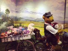 -济州岛泰迪熊博物馆