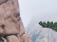 景点-崂山仰口游览区