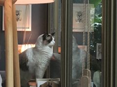 -咖法森林·咖啡  酒吧(天河店)