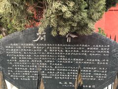 -延庆观