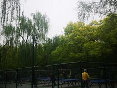 -莲花池公园