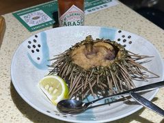 -蚝堡·生蚝海鲜烧烤物种起源•海肠捞饭(刘公岛店)