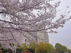 -江南大学(蠡湖校区)