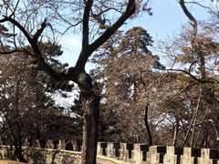 -沈阳市东陵公园