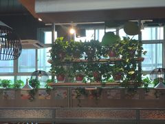 -比格比萨自助(国展店)