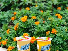 -蜜雪冰城(建设路店)