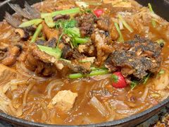 -老板恋上鱼(振华商厦店)