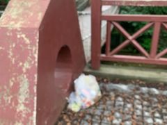 -素山寺森林公园