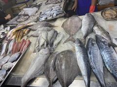 -鸿港海鲜批发市场