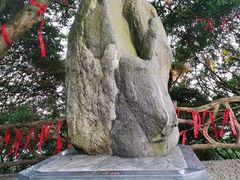 -广州市帽峰山景区