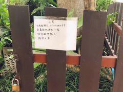 -清迈女子监狱马杀鸡(无分店)