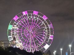 -艾溪湖湿地公园