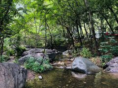 -灵溪风景区
