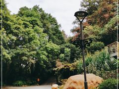 -深圳仙湖植物园