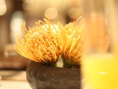 -新荣记(新源南路店)