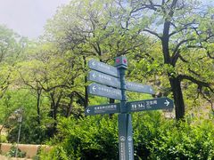 -延安杨家岭革命旧址