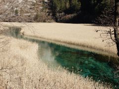 -九寨沟-树正沟