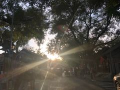 -北京国子监胡同