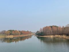 -贡湖湾湿地公园