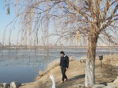 -天津东丽湖风景区