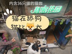 -磁器口古镇