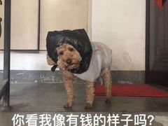 -德克士(砂之船奥特莱斯店)