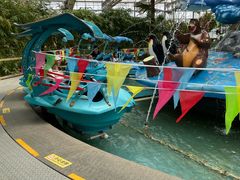 -南宫五洲植物乐园